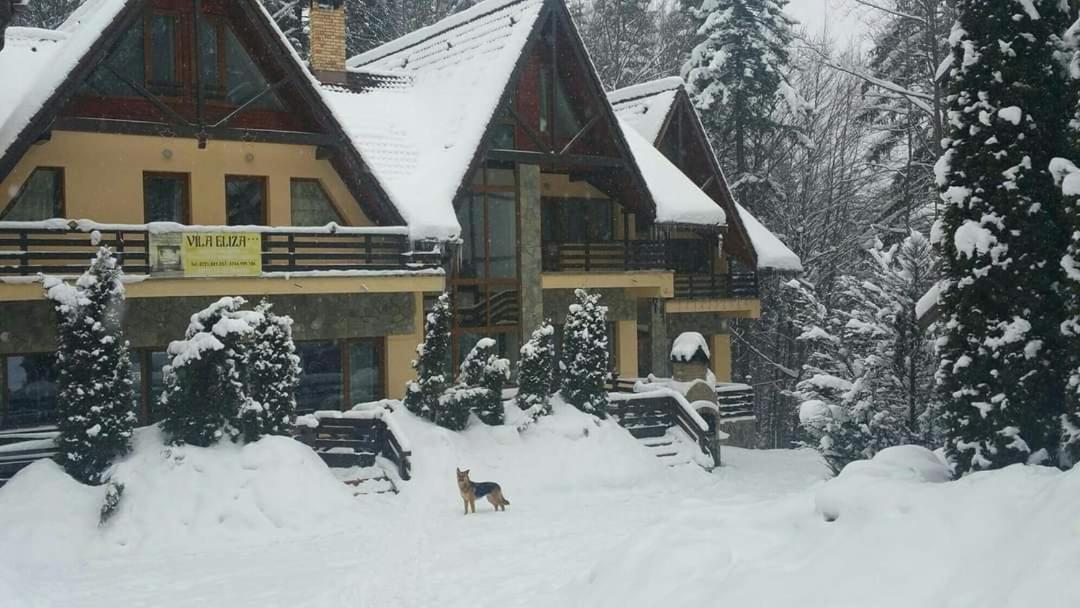 Pensiunea Eliza Hotel Sinaia Værelse billede